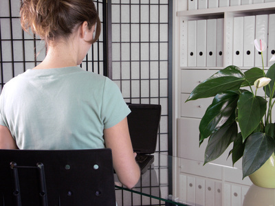 Für wen ist Business Hosting ideal?