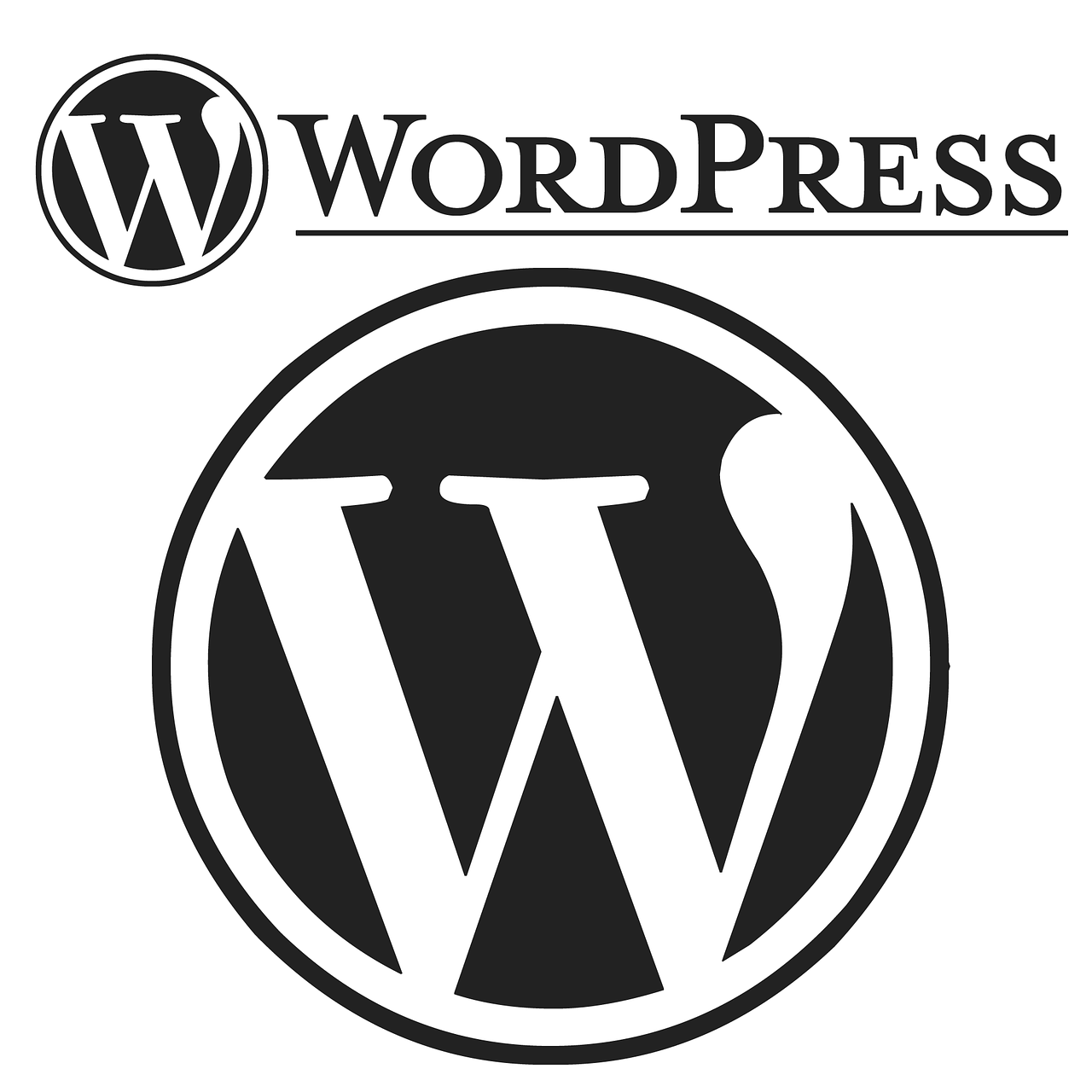 5 Möglichkeiten für ein sicheres WordPress Backup