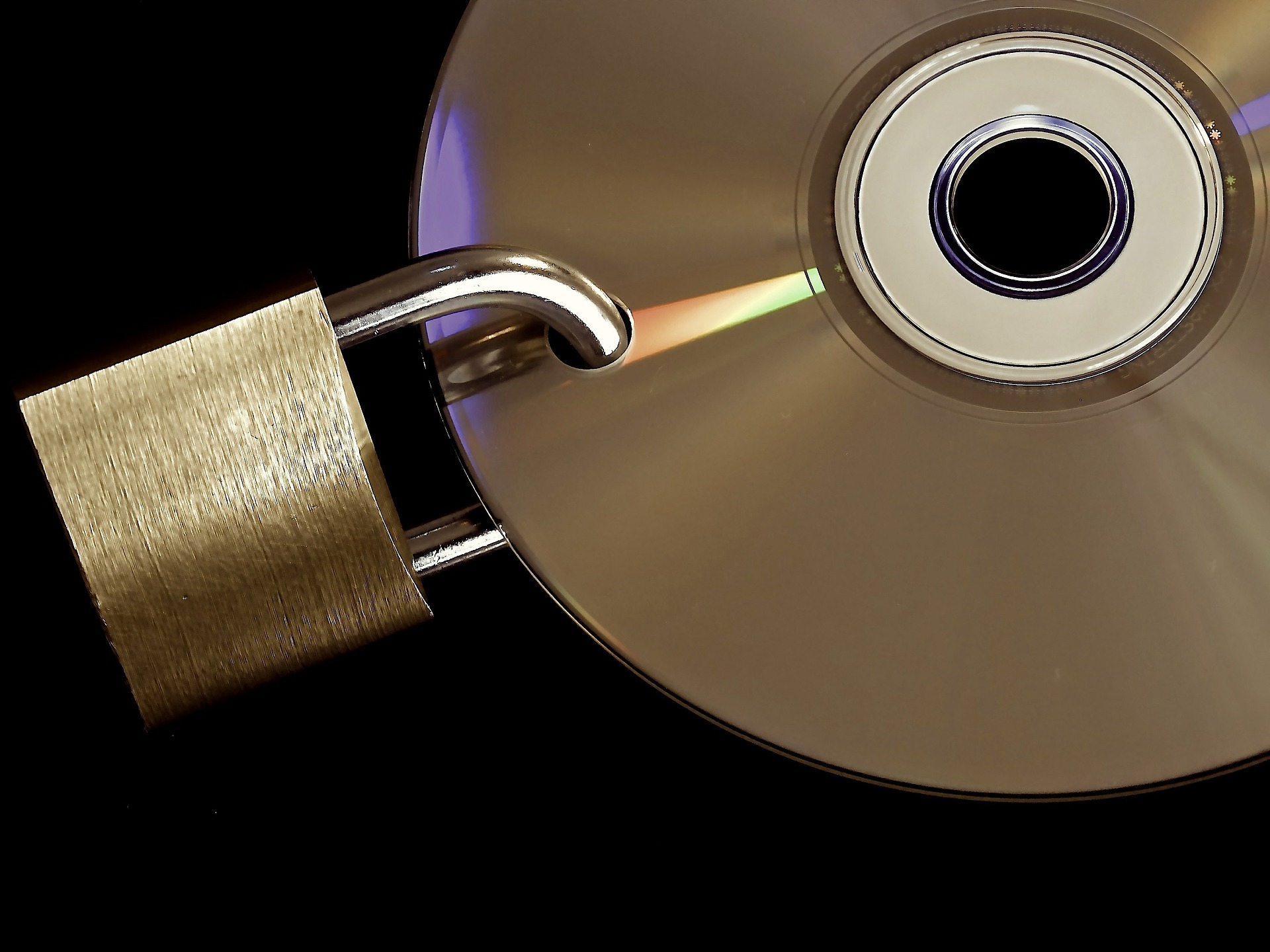 Warum ein Website-Backup wichtig ist und wie es funktioniert